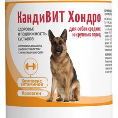 КандиВИТ Хондро, 50 таб/упак — точная фасовка, точная упаковка