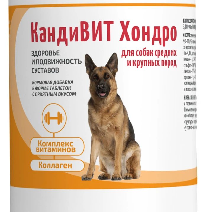 КандиВИТ Хондро, 50 таб/упак — точная фасовка, точная упаковка